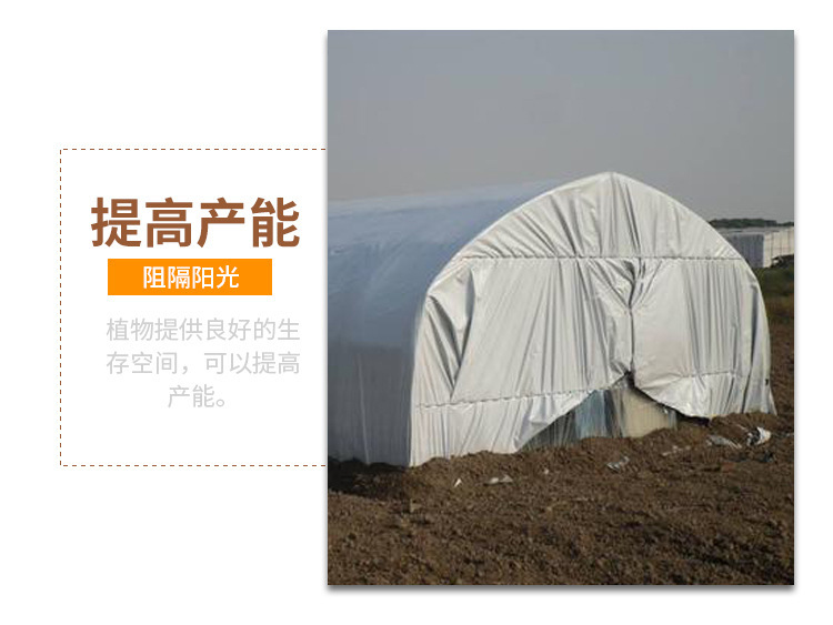 食用菌大棚黑白膜在现代农业中的应用与选择
