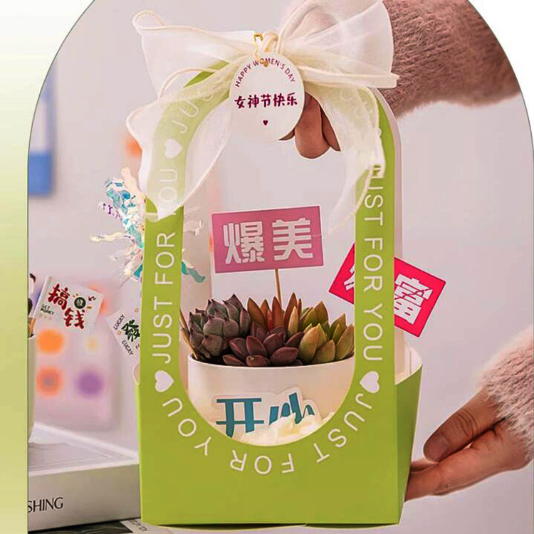 QQ截图20240330084638