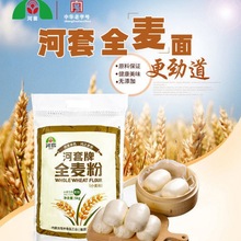 新日期【河套】全麦粉5kg高筋内蒙小麦粉面粉家用批发10斤