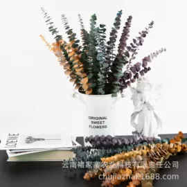 干花;鲜花花艺制品;永生花