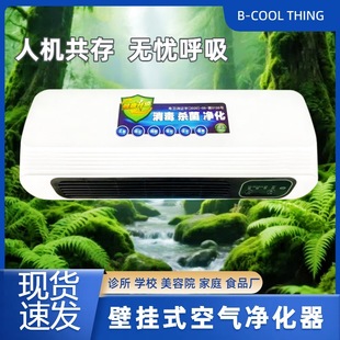 Wall-Mounted Desktop Dual-Use Air Disinfection Machine Household Outpatient Ozone Ultraviolet Human-Machine Resonance Air Purifier
