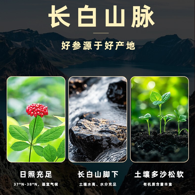 林下山参7-10年长白山野山参礼盒厂家干人参年货送礼 林下参批发|undefined