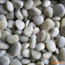 供应白色鹅卵石 黑色五彩 水洗石红色雨花石 海卵石 上海工厂直销