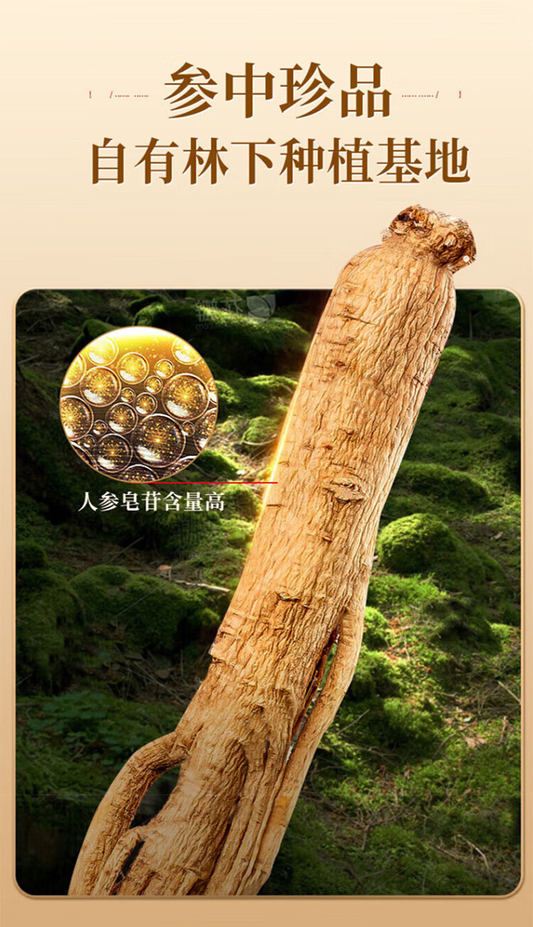 American Ginseng Powder Xi Yang Shen 100g Bottle Ground Herb for Cooking and Soup overview