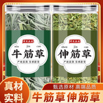 牛筋草伸筋草中药材正品牛根草牛顿草舒筋草新货泡脚的功效与作用