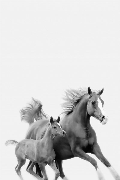 50322 caballo ligero 26