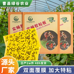 果实蝇粘胶果树针蜂粘虫瓜果菜园苗木柑橘果蝇粘剂飞虫诱捕果蔬