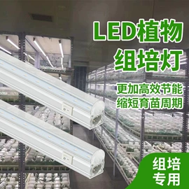 植物生长灯;LED轨道灯;射灯