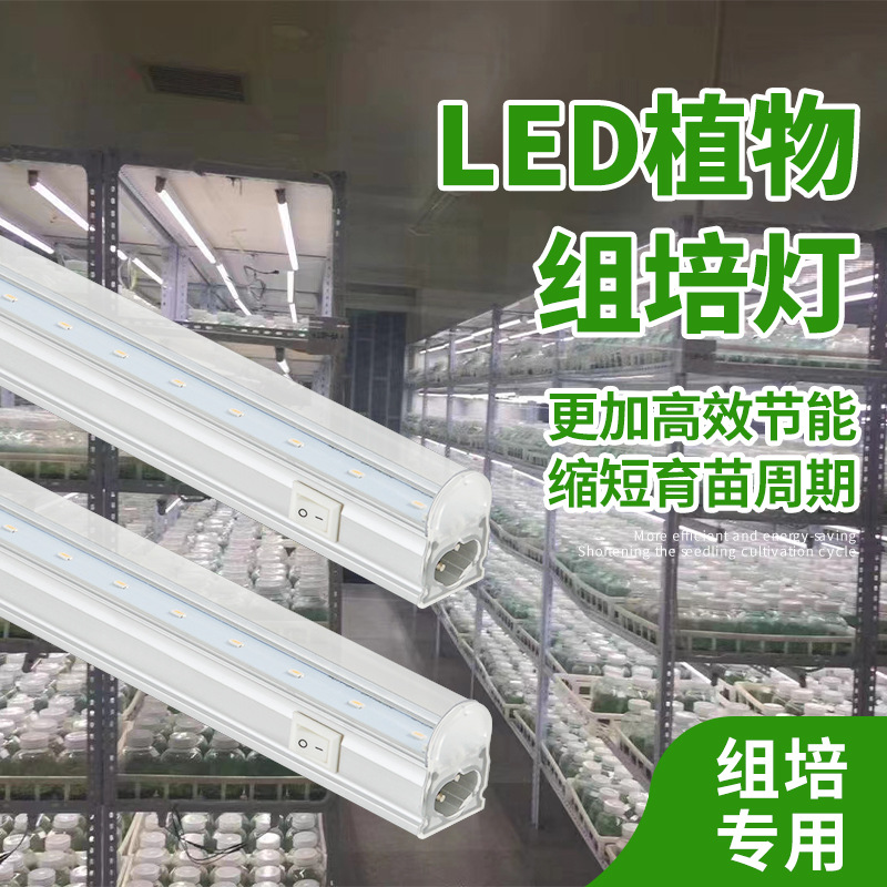 组培专用灯仿太阳led植物生长灯全光谱补光灯T5灯管T8带开关灯管