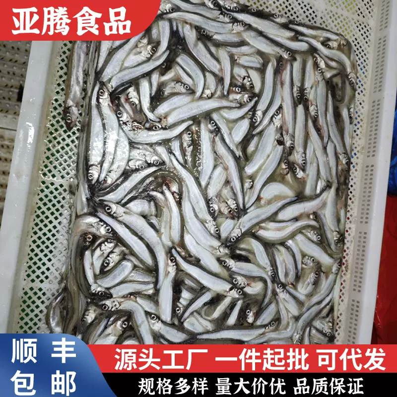 多春鱼满籽新鲜人吃籽鱼冷冻海鲜水产鲜活海鱼烧烤商用多春鱼原料