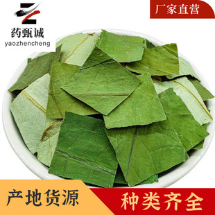 ���~��ș���Ƭ���o�� ���l�r�ɻ�����~Ƭ���~�K���~�z �������~