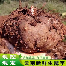 ������rħ��F��ħ���^ħ�󶹸����rԭ���r���ԷN������ħ��