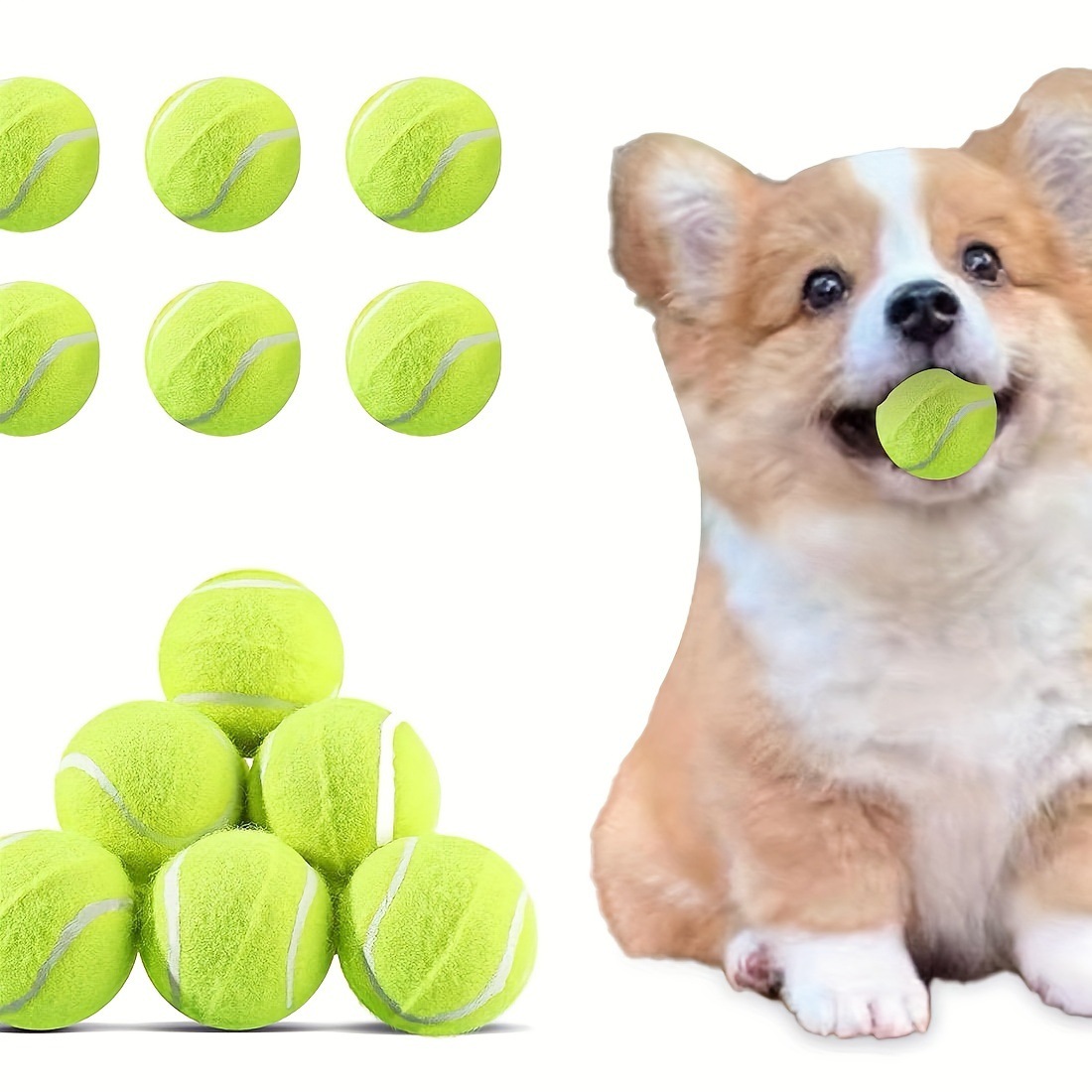Lanzador Automatic Dog Ball Launcher con 3 Distance settings
