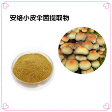 沃特莱斯生物 安络小皮伞菌提取物 水溶粉 厂家直供 现货