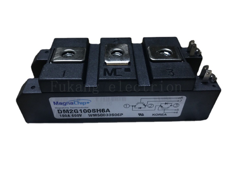 DM2G100SH6A DM2G100SH6N 100A 600V