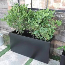 ���⻨����[�̘I���ۘǲ��V�����L���λ��軨�ӈ@ˇ�������۹��S