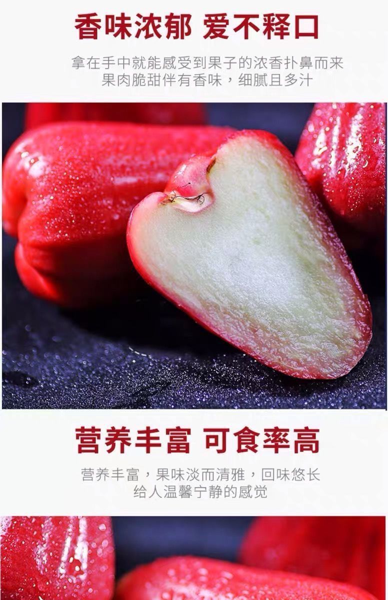 f425de93-9a44-43ae-bd7d-e4024737360d.jpe