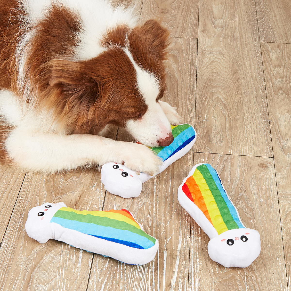 微信图片_20250221103843