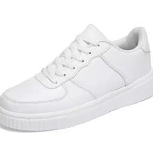 小SBLN2六