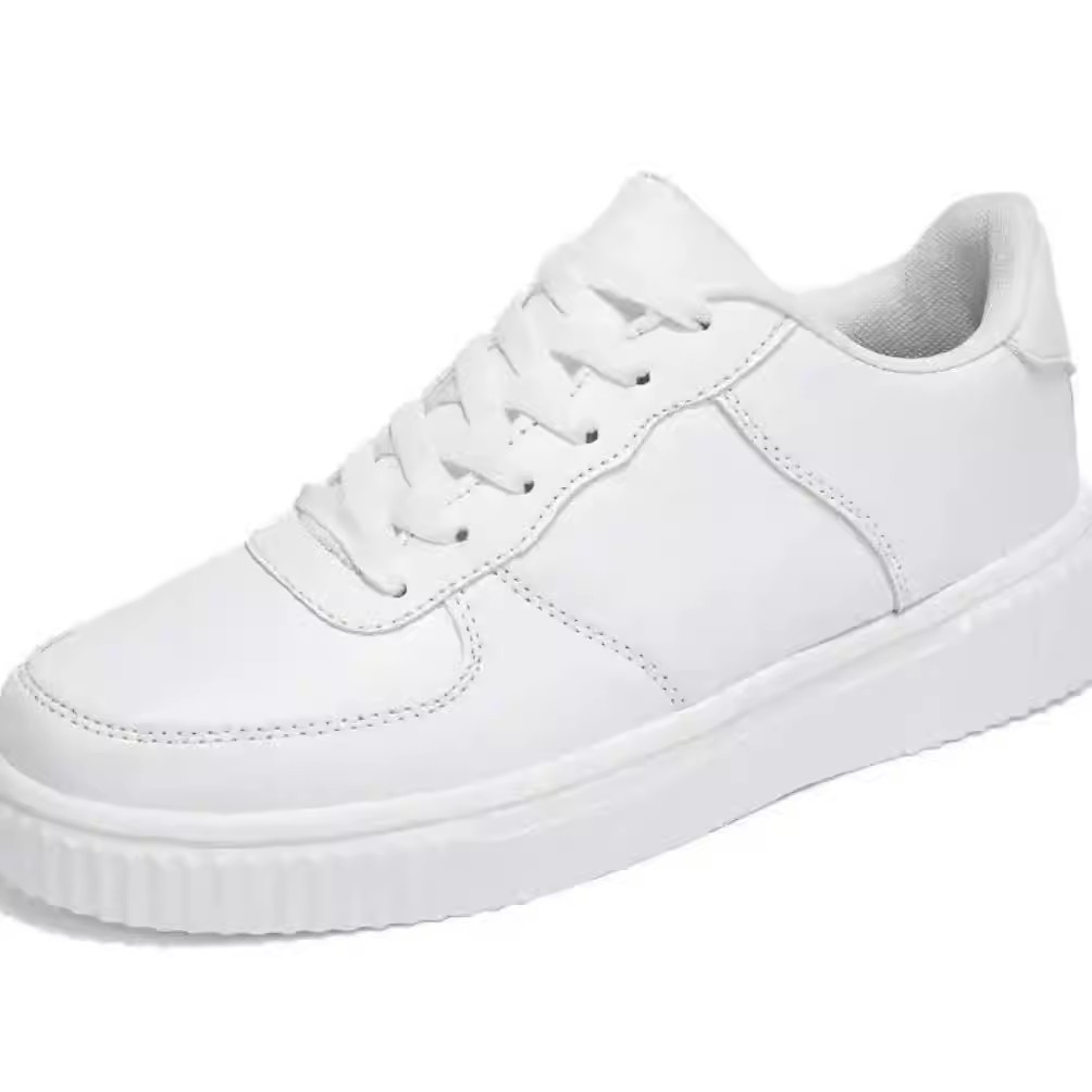 小SBLN2六