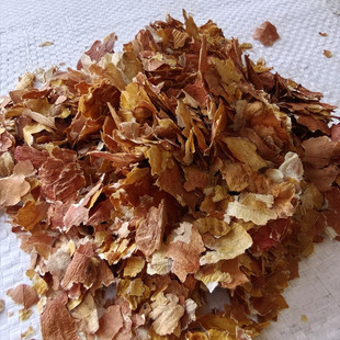 ���l ������ ����Ƥ �L���� �仨���� �t�� �t��Ƥ ɢ�b�Q��