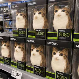 跨境新品meowl plush 猫头鹰表情包仿真无白边毛绒玩偶公仔