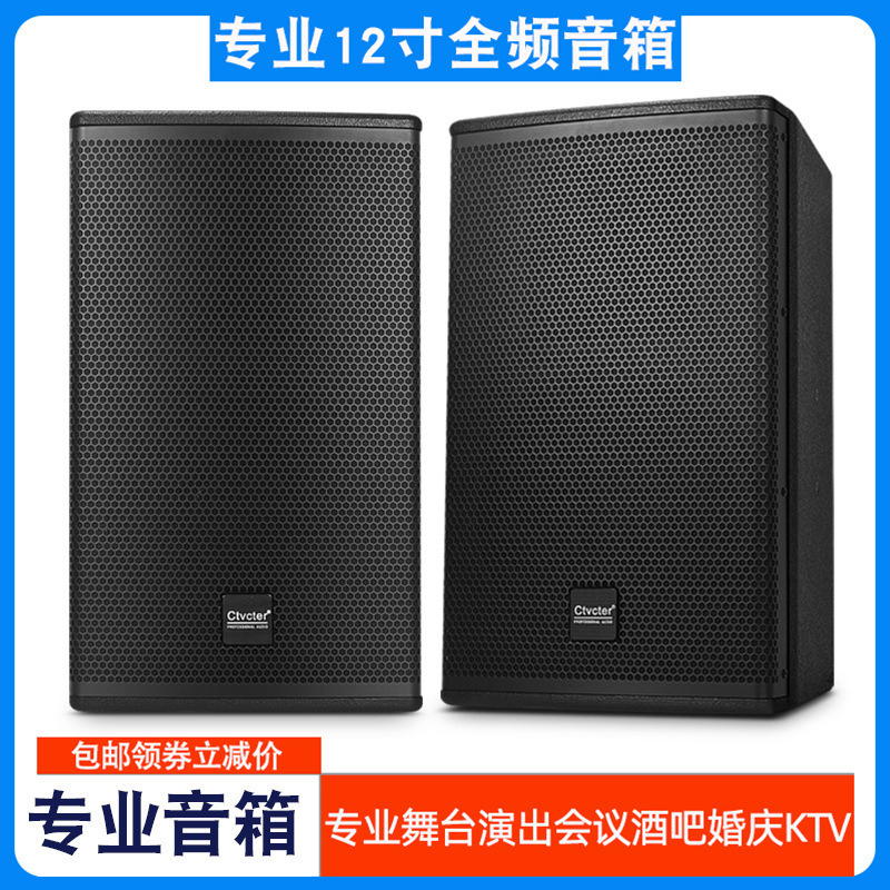 音箱舞台演出12寸家用K歌酒吧包房会议培训演讲乐队舞蹈音垒德株