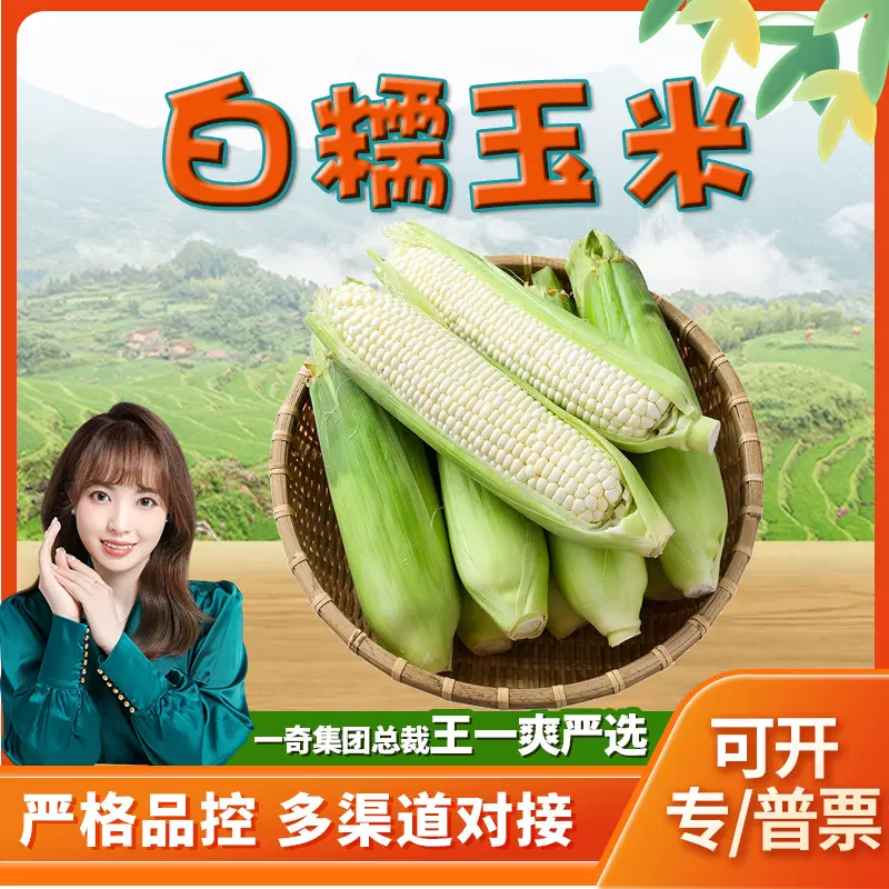 【严选】广西黏玉米 代发3/9斤新鲜粘棒子白糯鲜包谷非水果甜玉米