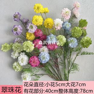 �¿������黨 �\ɫϵ��Y��ˇ��c�b�·�Ż��Ľ����ٻ����컨
