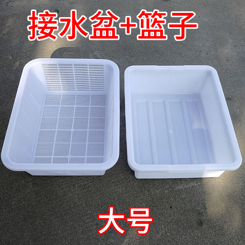 大きくて厚みのある二層排水バスケットプラスチック野菜洗いバスケットホテルキッチン野菜洗い浸漬バスケット米洗いバスケット猫トイレ