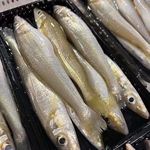 �V��������ɳ���~ÿ��һ��ÿ��10/13�l�ɴ��lֱ�����rɢ�bҰ��