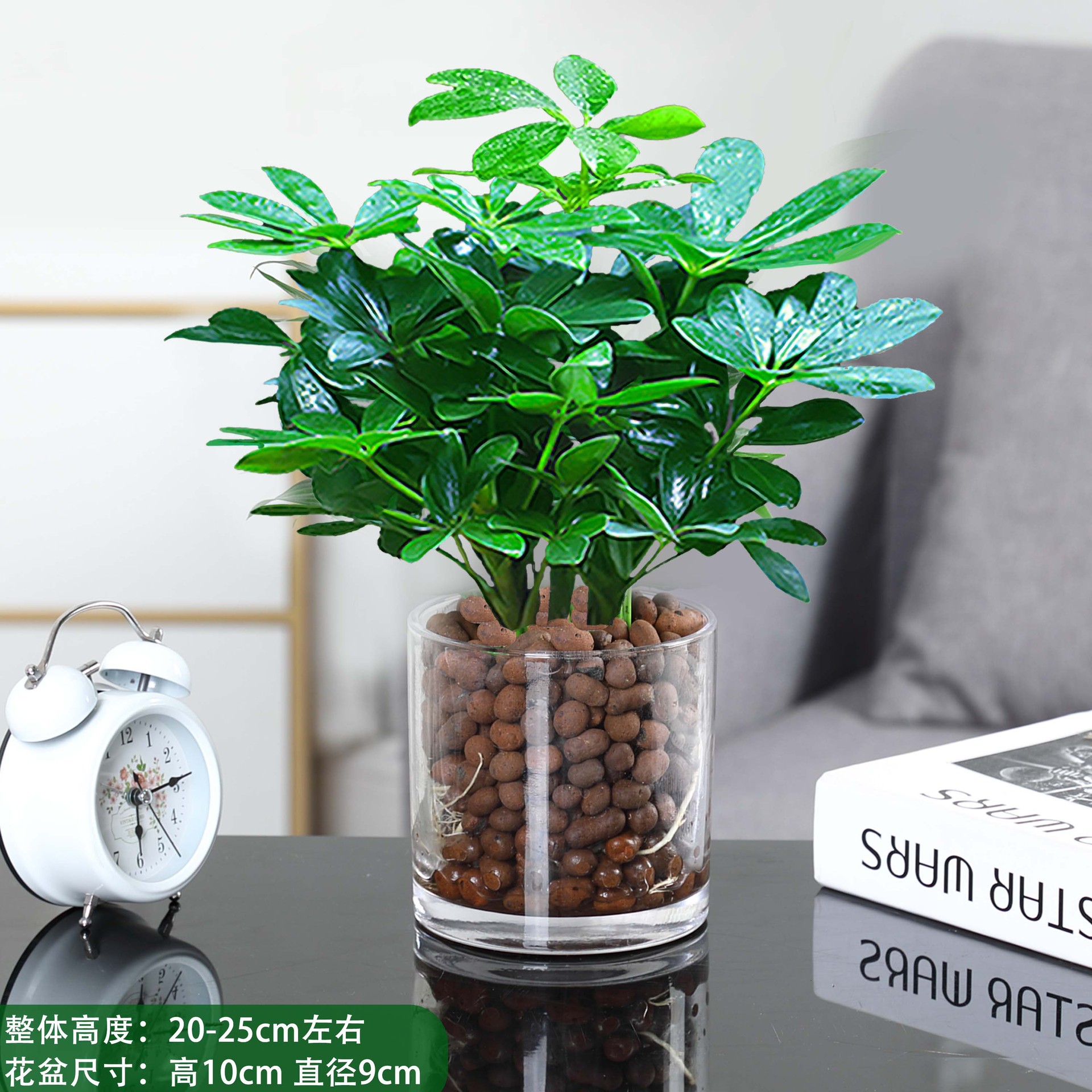 돈을 버는 8 방향 4 통 [원통형 유리병 + 세라믹 사이트] + 영양 용액