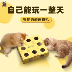 猫の執事のペットのチーズの箱のおもちゃの猫のおもちゃ