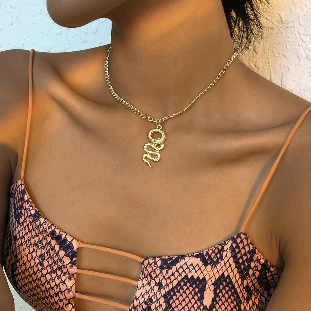 European And American Cross-border Jewelry Single-layer Simple Punk Snake-shaped Necklace Retro Necklace display picture 3