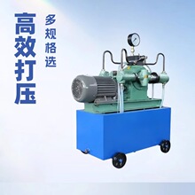 电动管道试压泵 升压稳压性能好 4SDY容器打压泵 现货电动试压泵