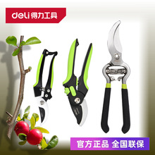 ������֦�����@�ֻ�ˇ�޼���֦���������������@ˇ��DL2789 770