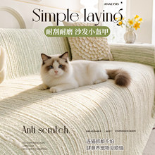 ������ɳ�l�w��2026�¿��ļ����zɳ�l��һ����ȫ�w�f�����ַ�؈ץ