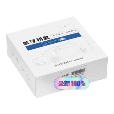Lavida Lamando Viloran Tuyue, Car anti-theft device