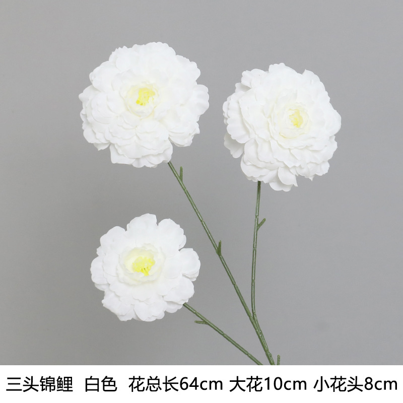 Longliju/Koi (nuevo)