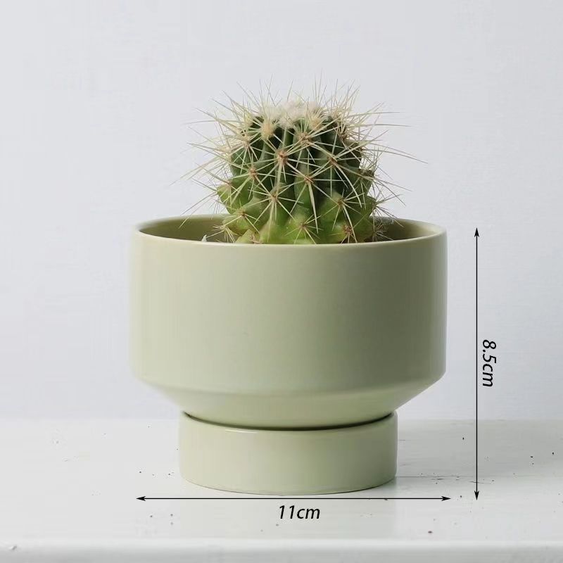 Un cactus de corazón pequeño maceta flores suculentas plantas verdes fáciles de alimentar y vivir decoración de escritorio de oficina fácil de vivir image 5