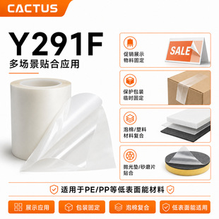 Y291F ͸�� PET �p���z�� һ���˺�o���z�V��չʾ������R�r�̶�