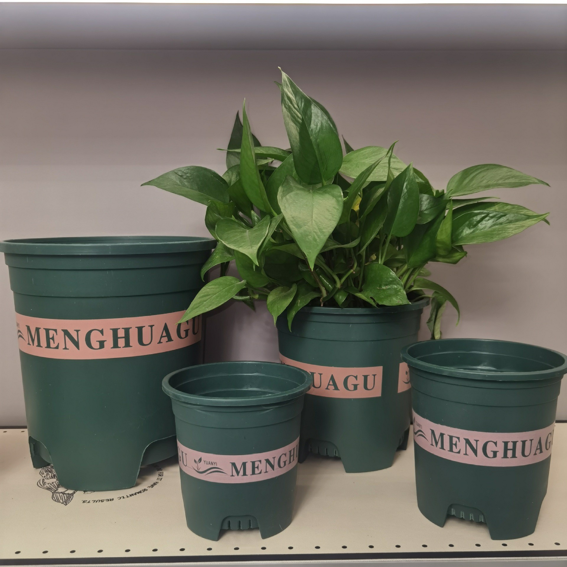 控根加仑花盆透气防烂根加仑花盆带托盘绿萝多肉月季耐用花盆