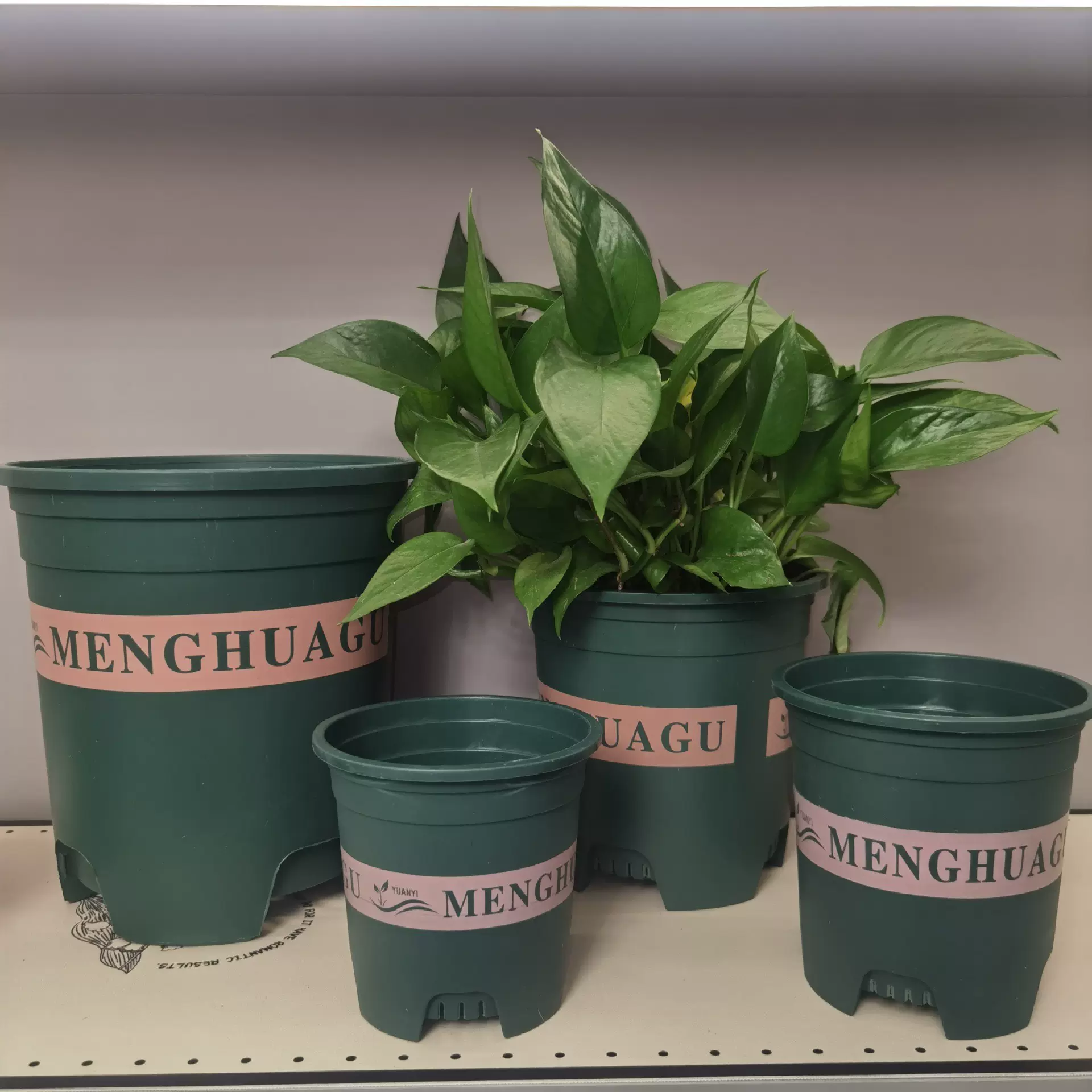 控根加仑花盆透气防烂根加仑花盆带托盘绿萝多肉月季耐用花盆