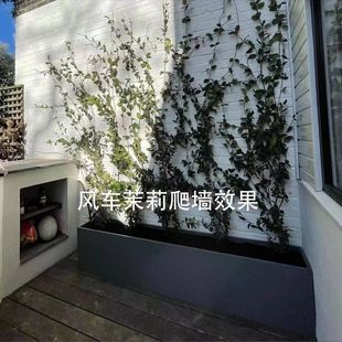 �L܇�����Ϙ��������ͺ��͟������ٱ����ܽjʯ�����پGֲ�ļ�����