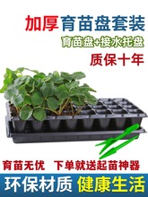 育苗穴盘家庭育苗种植神器套装营养钵蔬菜多肉育种扦插盒农用托盘