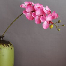 �����ָ�7�^�����m �������l�F���ҾӘӰ��g��c�Ƶ�ֱ���g�b�