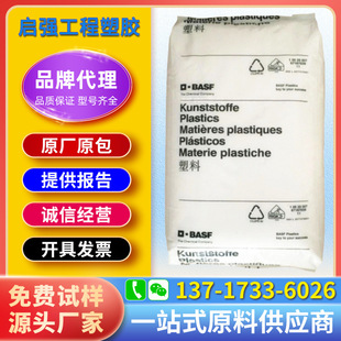 PA/ABS Germany BASF NNM-19 NNM-11 NNM-13 NNM-10 high impact resistance high flow UV resistance