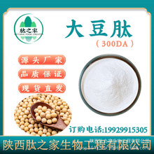 大豆肽大豆低聚肽98% 生物活性小分子肽粉 ＜300dal大豆蛋白酶解