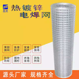 热镀锌加厚电焊网 养殖场围栏专用 3cm孔防锈钢丝网 厂家直供