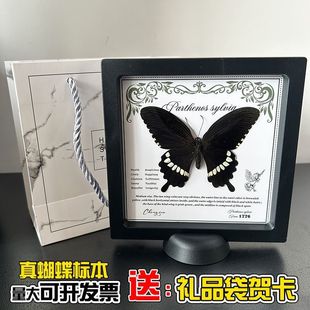 Real Butterfly Specimen Suspension Box Photo Frame Home Three-Dimensional Decorative Ornaments Creative